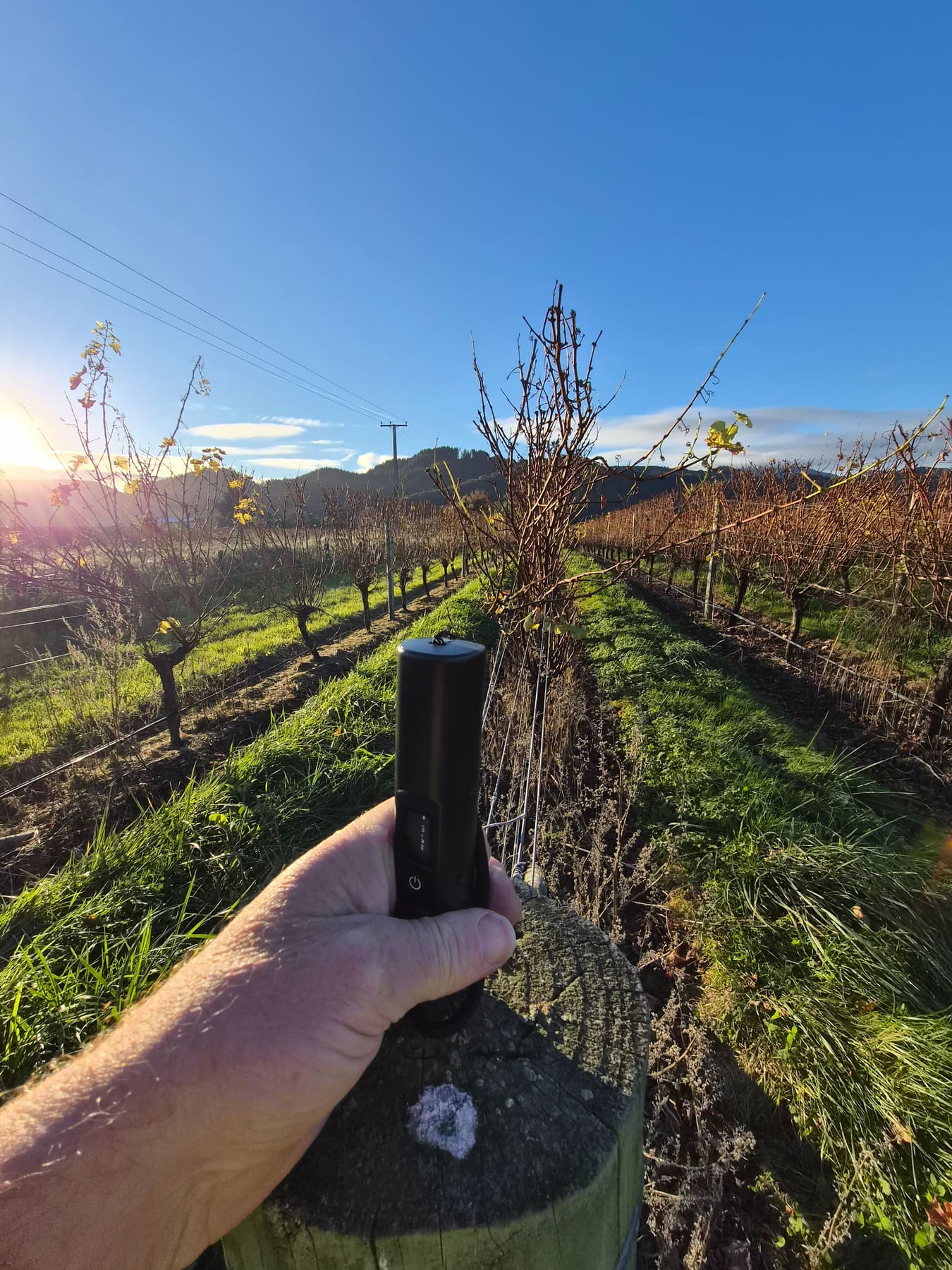 The Archer mapping wand held over a vineyard row